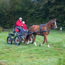 Romano - La Chassagne